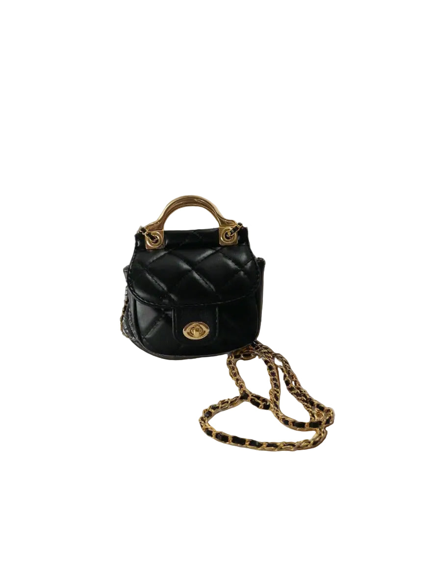 Amani Bags stainless steel trolley coin bag for women black variant