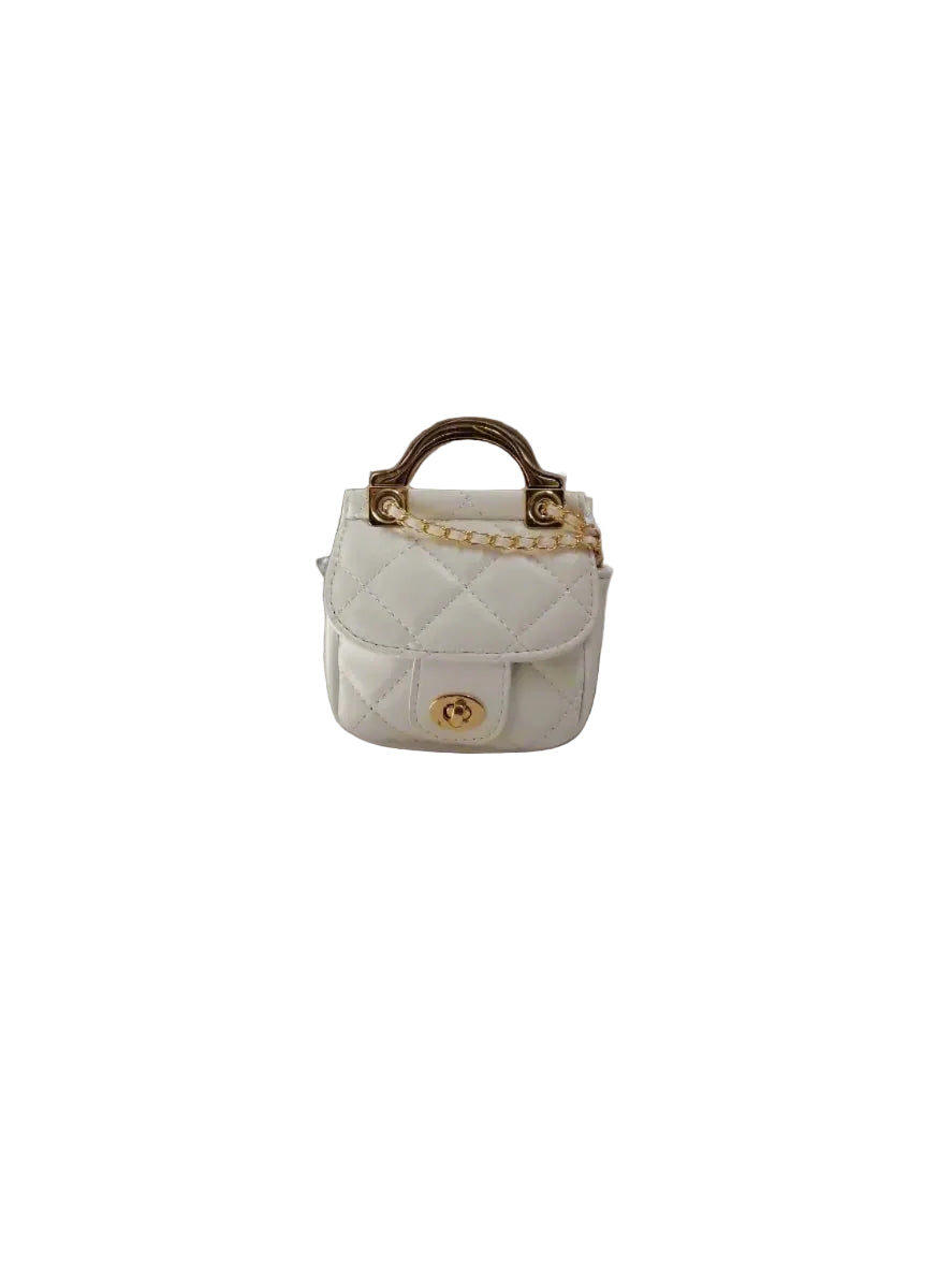 Amani Bags stainless steel trolley coin bag for women black variant